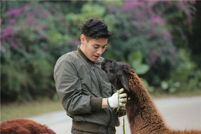 《奇妙的朋友》 收視蟬聯冠軍，飼養員與動物共成長